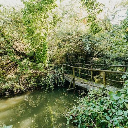 Forest House Palić Zewnętrze zdjęcie