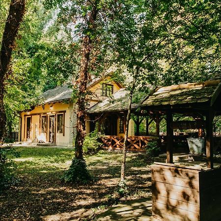 Forest House Palić Zewnętrze zdjęcie