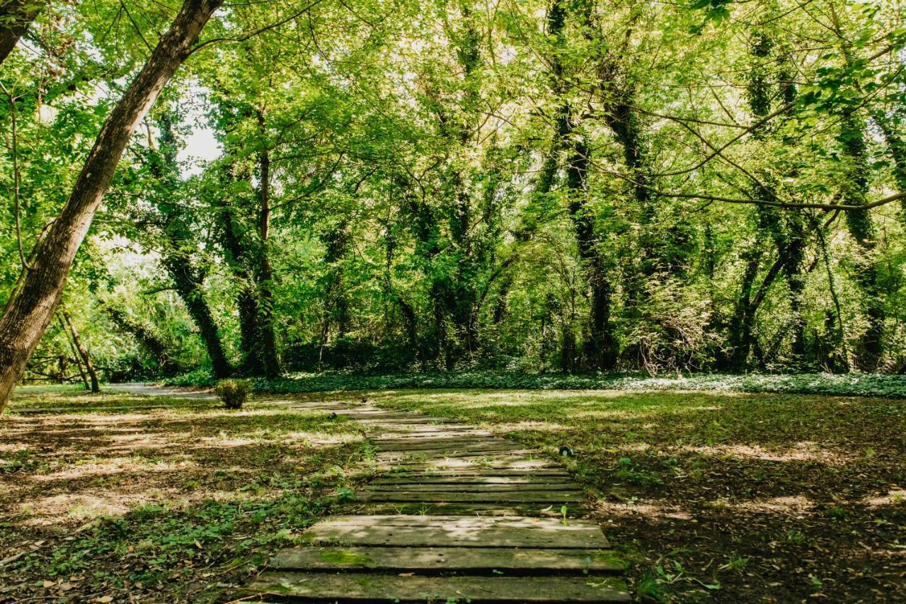Forest House Palić Zewnętrze zdjęcie