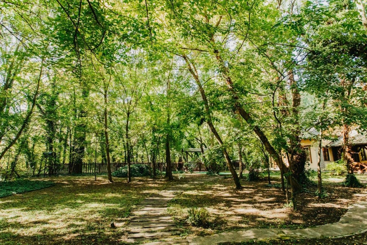 Forest House Palić Zewnętrze zdjęcie