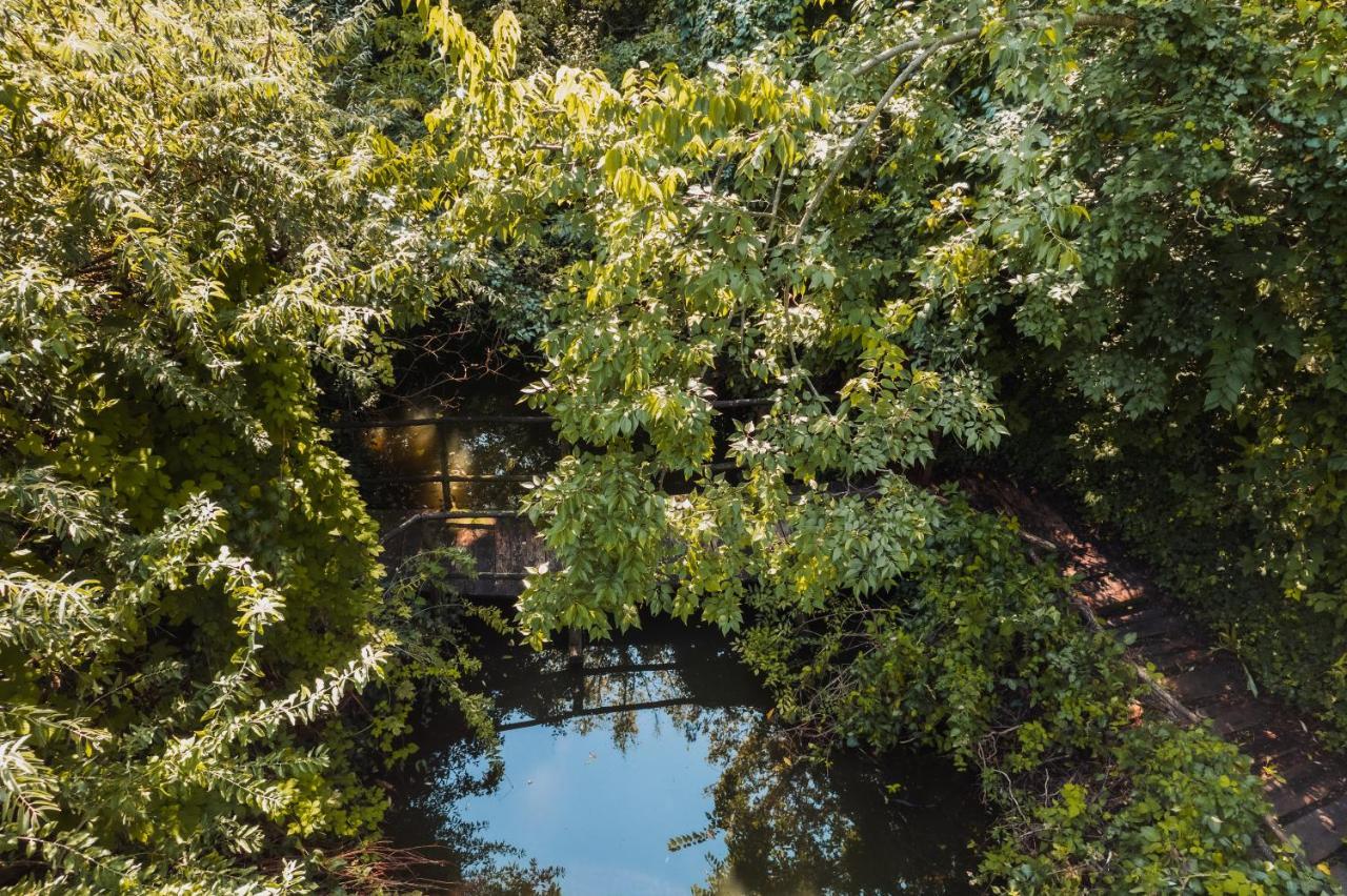 Forest House Palić Zewnętrze zdjęcie