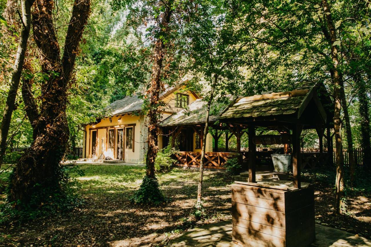 Forest House Palić Zewnętrze zdjęcie