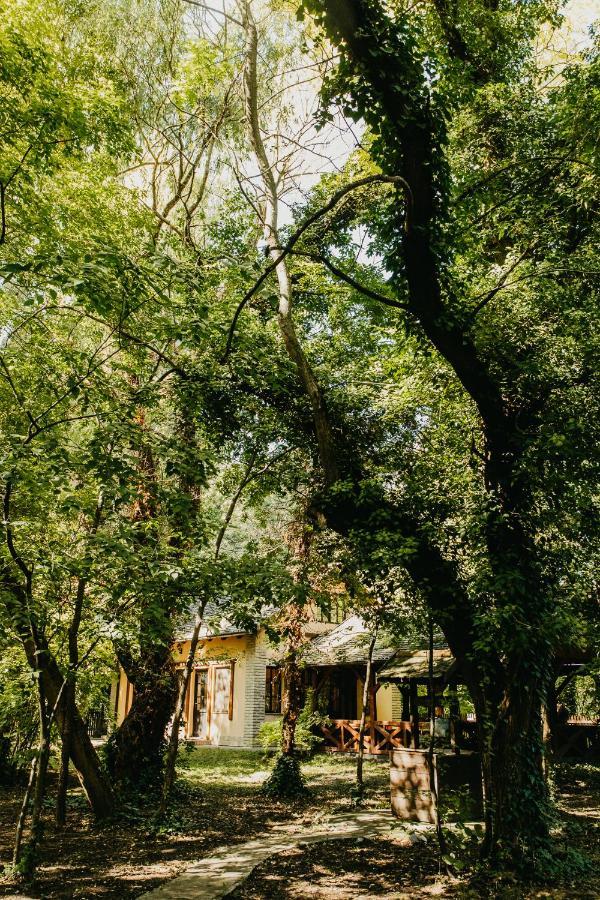 Forest House Palić Zewnętrze zdjęcie