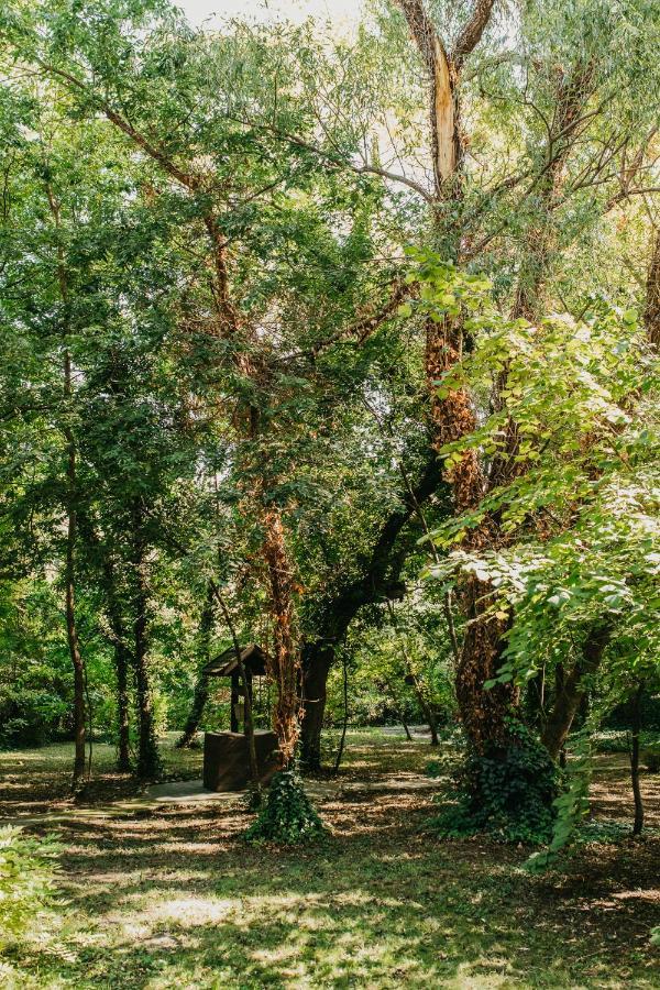 Forest House Palić Zewnętrze zdjęcie