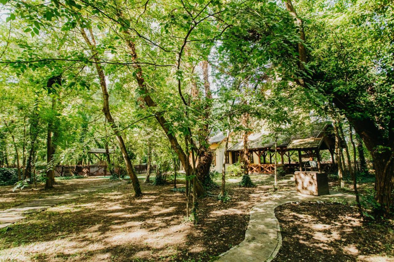 Forest House Palić Zewnętrze zdjęcie